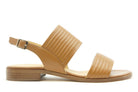 Nelle AC201034