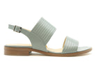 Nelle AC201035