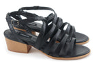 Metis CL01